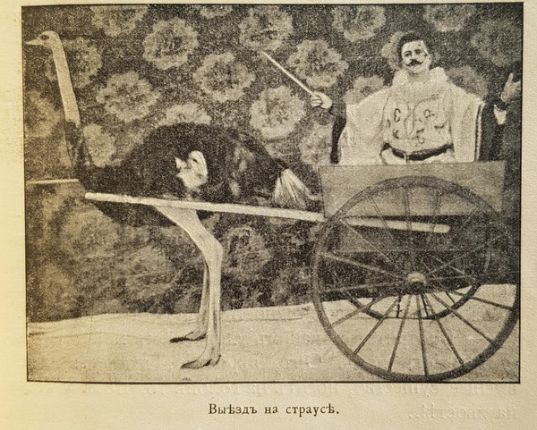 Тематическая беседа «Книга В. Дурова «Мои звери»