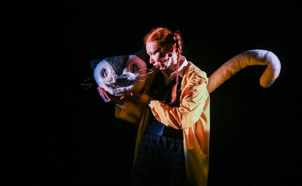 Страна чудес Алисы