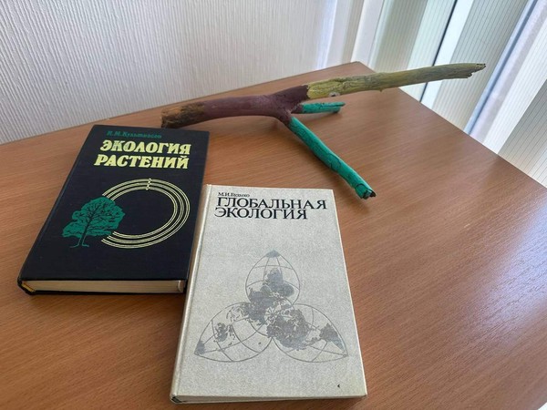 Встреча-путешествие «День экологических знаний»