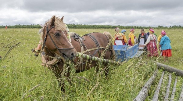 Познавательная программа «Сею-вею, посеваю»