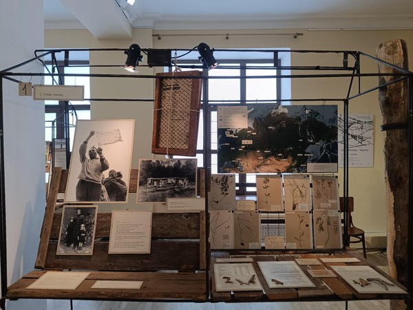 Выставка «Засушенному – верить»