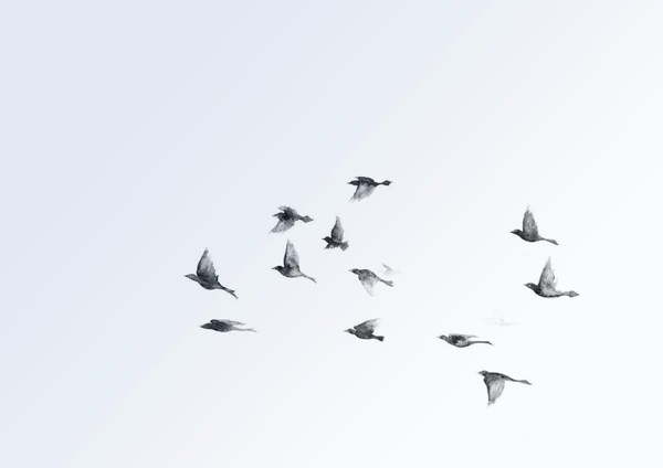 Концерт «Голоса весны»