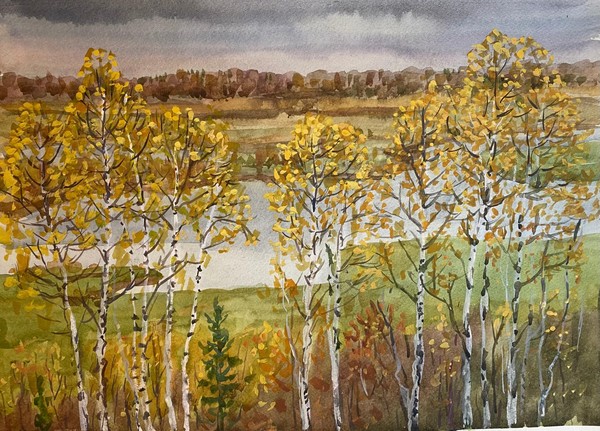 Виртуальная выставка «Графические истории»