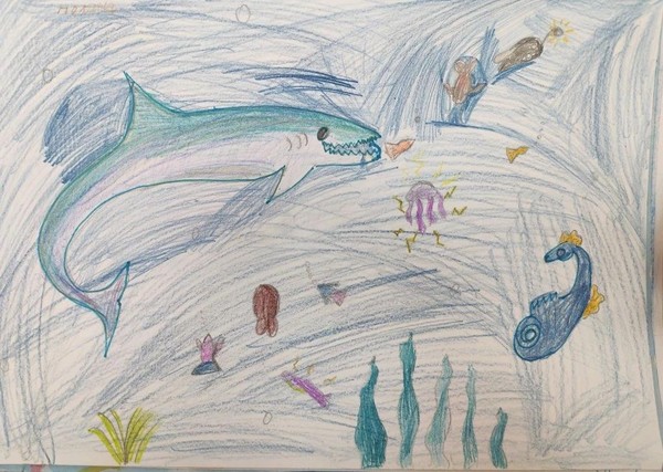 «Подводный мир»