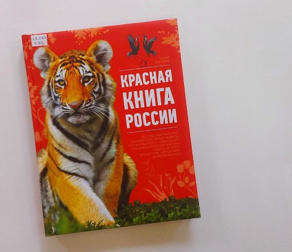 Познавательно-игровая программа «Полосатый хищник из Красной книги»