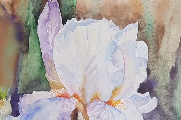 Мастер-класс «Утренняя мелодия. Ирис»