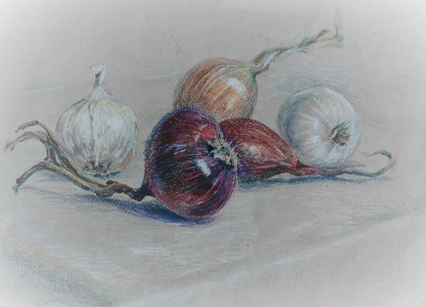 Мастер-класс «Натюрморт цветными карандашами»