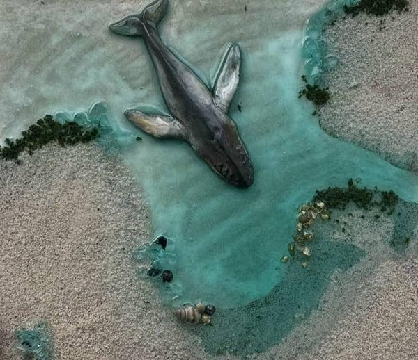 Мастер-класс «Морское вдохновение»