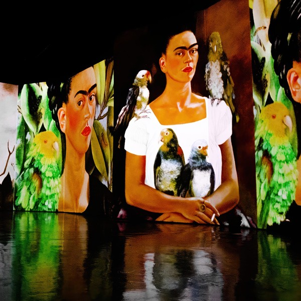 Загадочные миры Иеронима Босха / Фрида Кало. Несломленная