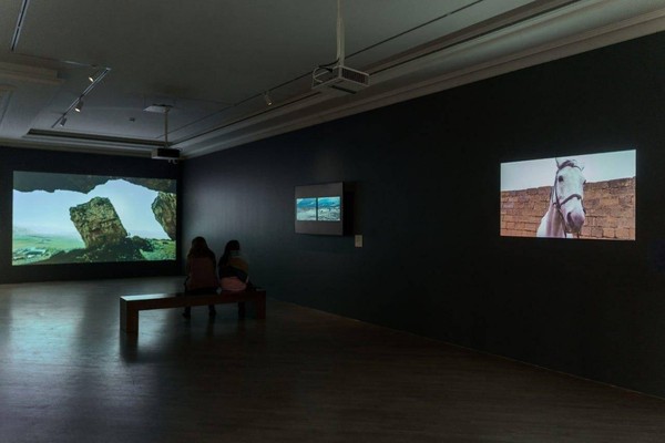 Экскурсия «Таус Махачева: медиаискусство из коллекции Пушкинского музея»