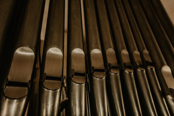 Орган и только орган