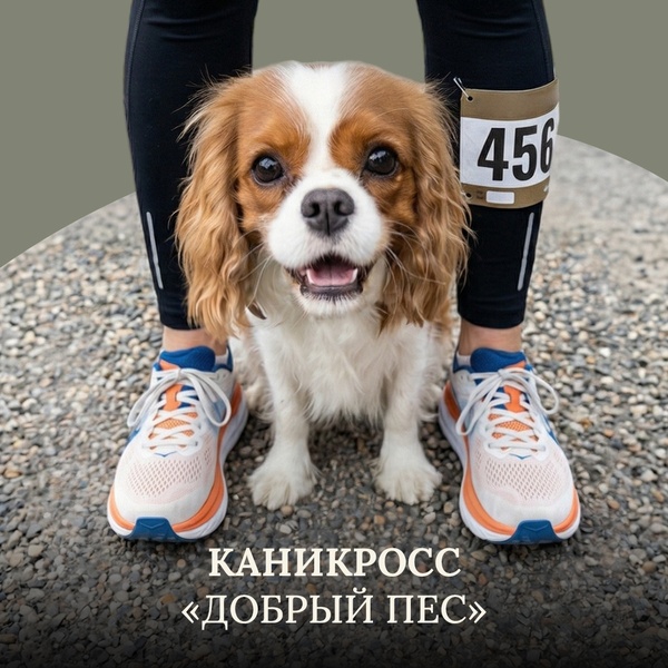 Каникросс «Добрый пёс»