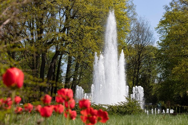 Открытие юбилейного летнего сезона