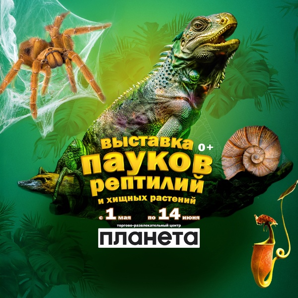 Выставка пауков | Паучья нора