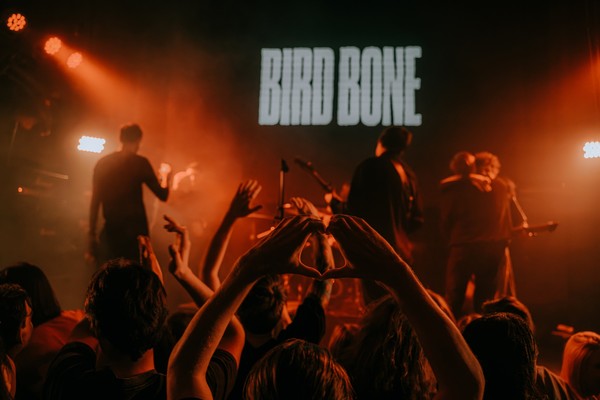 Bird Bone