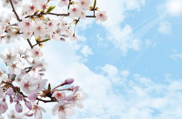 Праздничный концерт «Майский солнечный вальс»