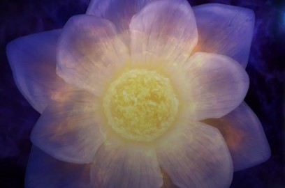 Эпоха звёзд