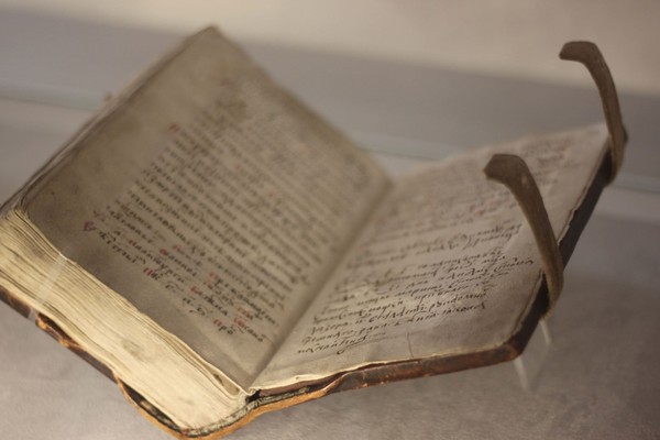 К мудрости ступенька