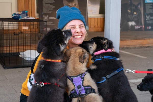 Лекция «Стресс в большом городе: как помочь питомцу адаптироваться в незнакомой среде»