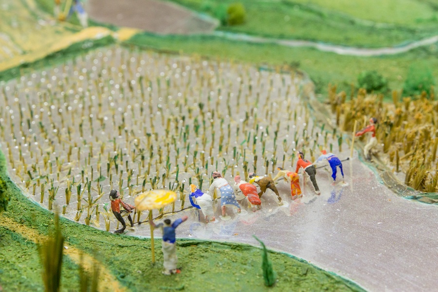 Музей почвоведения имени В. В. Докучаева. Экскурсия со специалистом