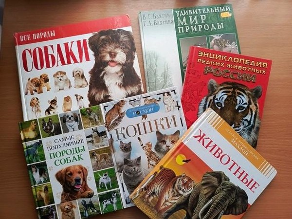 Познавательная игра «Мордочка, хвост и четыре ноги»