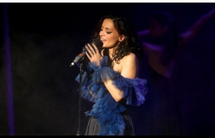 Французские истории