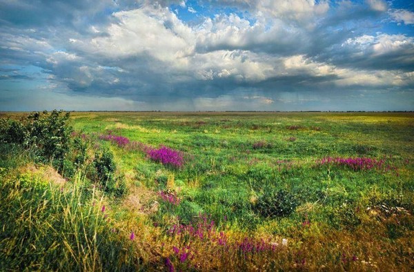 Концерт «На родных просторах»