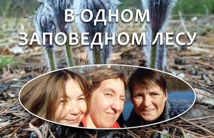 В одном заповедном лесу