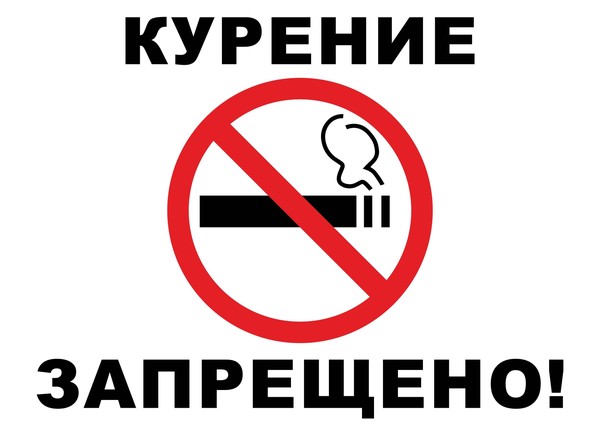 «Здоровая молодёжь будущее страны»