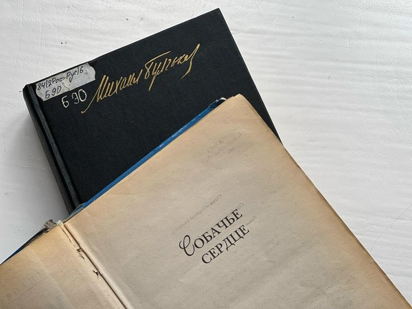 Поисковая игра «Собачье сердце: загадка лаборатории»