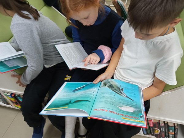 Литературно-игровая программа «Приключения в книжном царстве»