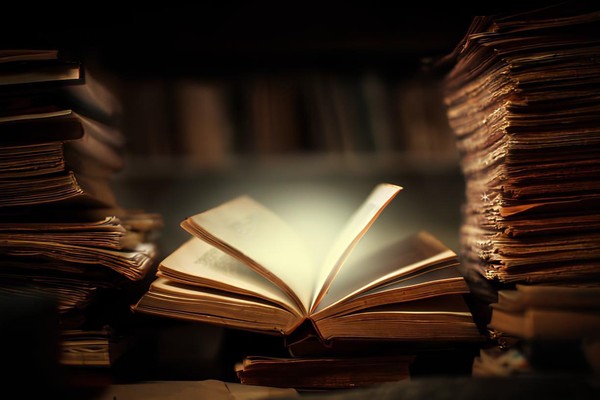 Краеведческая беседа «Искусство оживает на страницах книг»