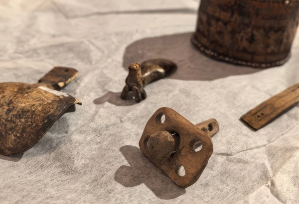 40000 лет и зим. Долгий сон мамонтенка Любы