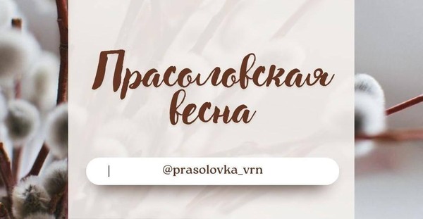 Награждение «Прасоловская весна»