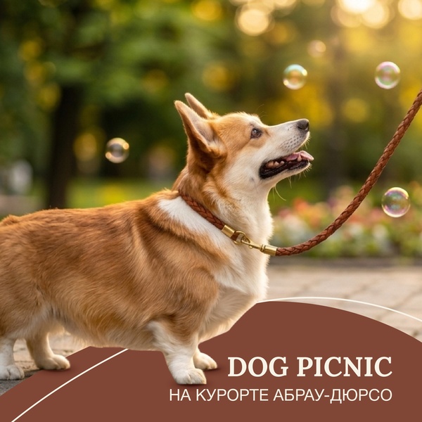 Dog Picnic