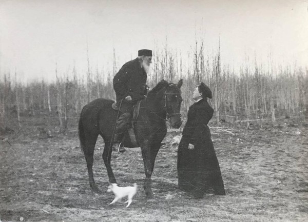 «Ночь музеев» Кураторская экскурсия по выставке «Лев Толстой на коне»
