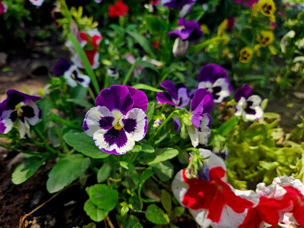 Программа «Ночь музеев. Родное»