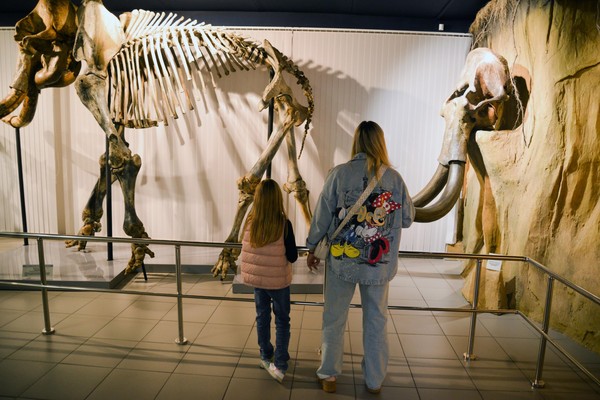 Ночь музеев в Музее природы