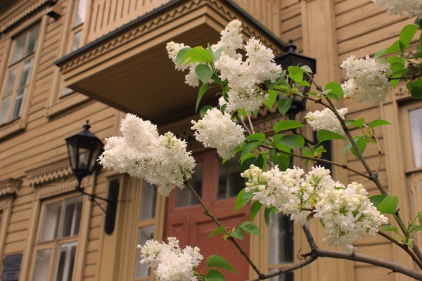 Программа «Ночь музеев – 2026»