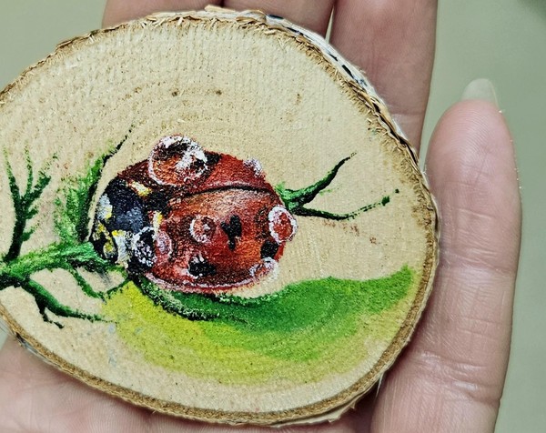 Мастер-класс «Миниатюра на спиле дерева: божья коровка. Акриловая живопись»
