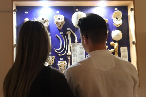 Ночь музеев в Анатомическом музее СамГМУ