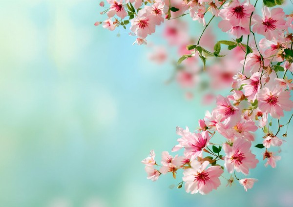 «Весенние мелодии»