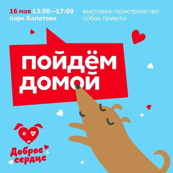Выставка - пристройство собак "Пойдем домой"