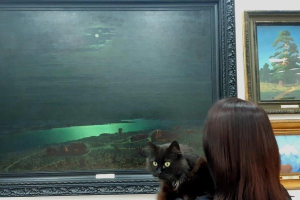 Ночь музеев в Симферопольском художественном музее