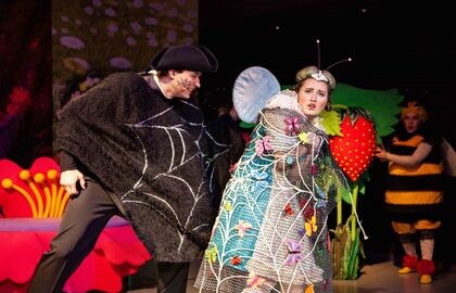 День рождения Мухи