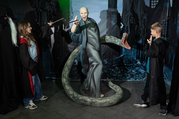 Мир Гарри Поттера