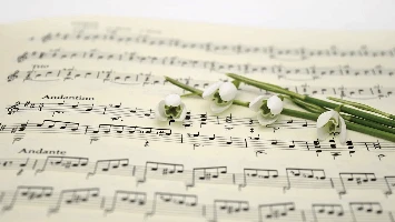 Отчётный концерт отделения дополнительных предметов