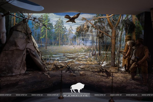 Путеводитель «От первобытных времен до наших дней. Музей природы в Беловежской пуще»