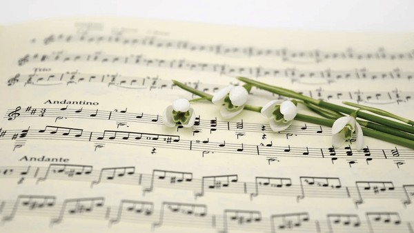 Отчётный концерт отделения дополнительных предметов