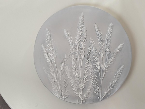 Творческая программа «Ботанический барельеф»